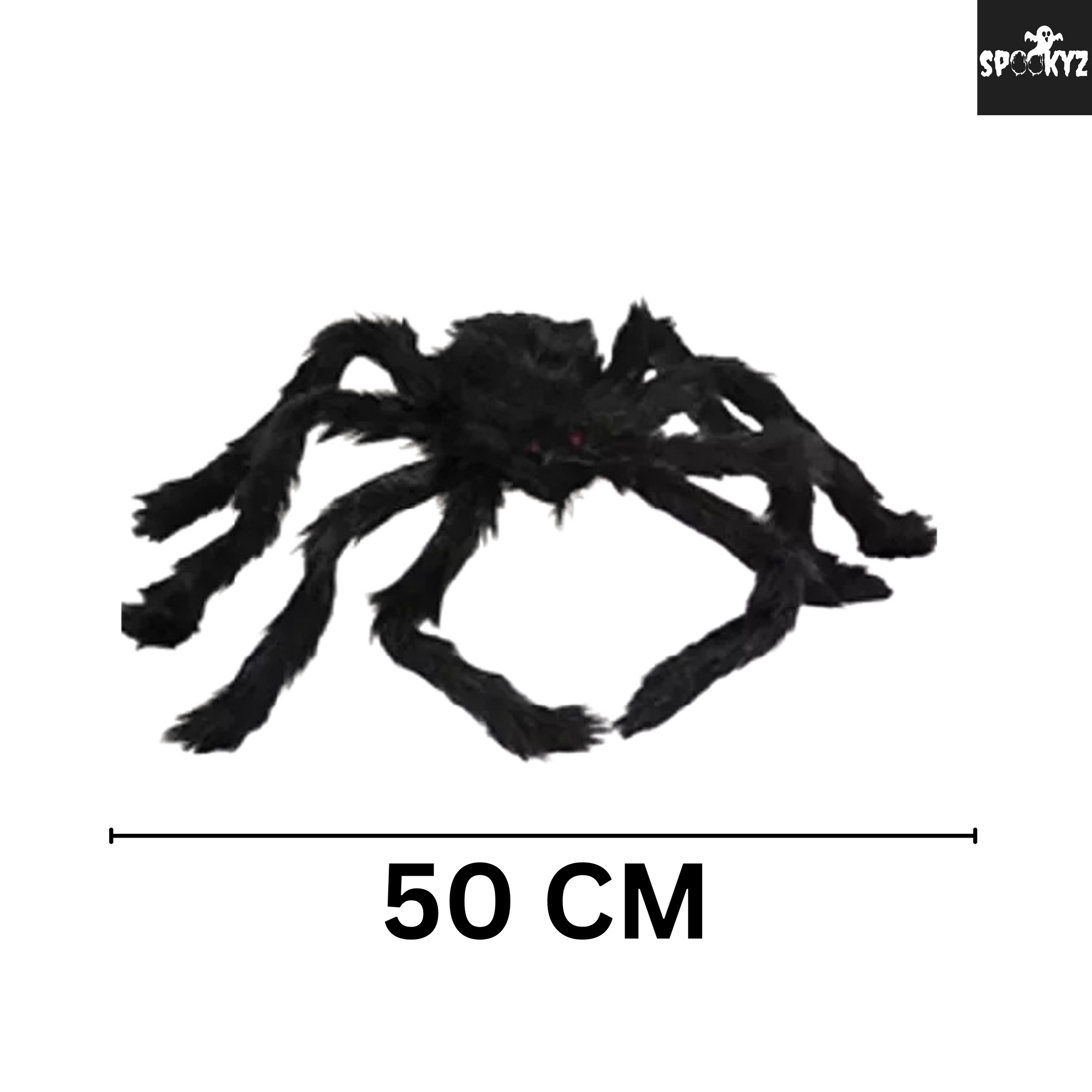 Giant Creep Spider