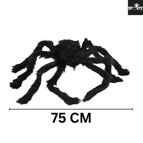 Giant Creep Spider